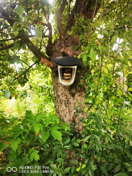 1Stk Hallo Multi FeedR - hat Platz für alle Arten von Vogelfutter, von Talgbällchen und Erdnüssen bis zu Pellets und Sonnenblumenkernen.
